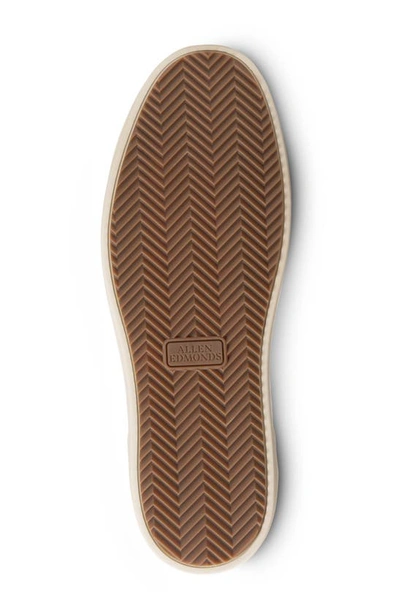 Allen Edmonds Porter City Sneaker In Chili