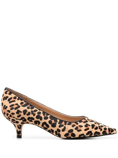 Shop Age Of Innocence Jacqueline 50mm Leopard-print Pumps In Neutrals