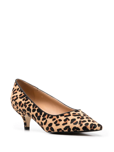 Shop Age Of Innocence Jacqueline 50mm Leopard-print Pumps In Neutrals