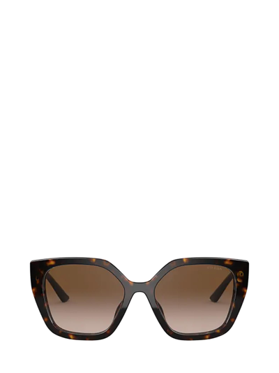 Shop Prada Pr 24xs Havana Sunglasses