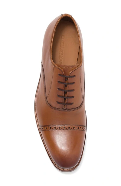 Allen Edmonds Brady Cap Toe Oxford In Walnut
