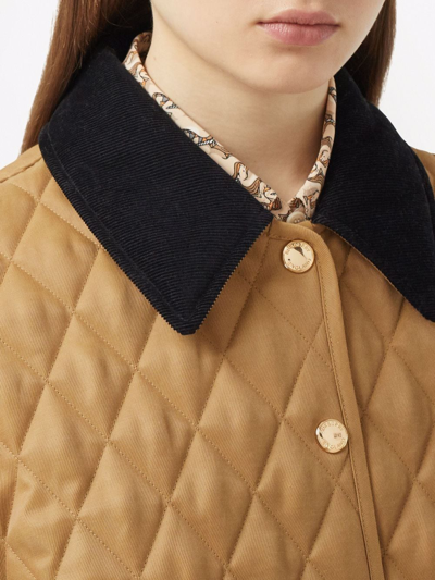 Shop Burberry Jacket Clothing In Brown