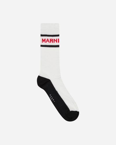 Shop Marni Logo Socks In White