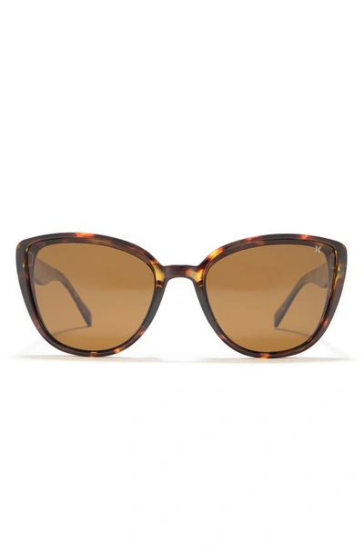 Shop Hurley Medium Plastic Cat-eye Sunglasses In Shiny Tortoise