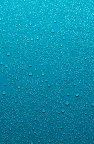 Shielded Beauty Face The Day Purifying Mist