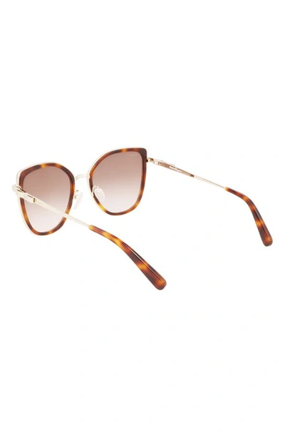 Ferragamo 54mm Gradient Cat Eye Sunglasses In Gold Tortoise