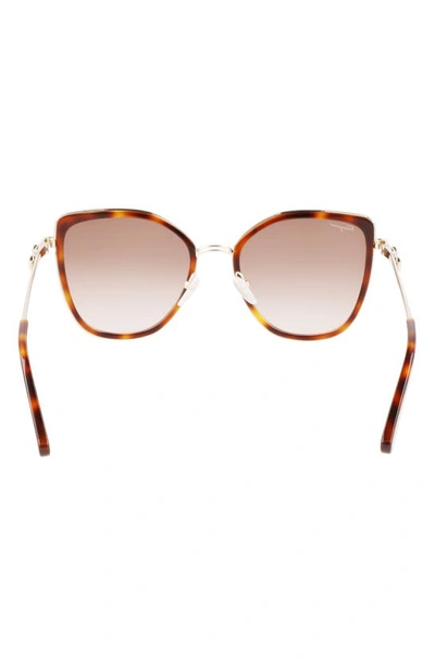 Ferragamo 54mm Gradient Cat Eye Sunglasses In Gold Tortoise