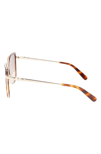 Shop Ferragamo 54mm Gradient Cat Eye Sunglasses In Gold Tortoise
