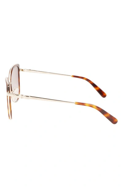 Ferragamo 54mm Gradient Cat Eye Sunglasses In Gold Tortoise