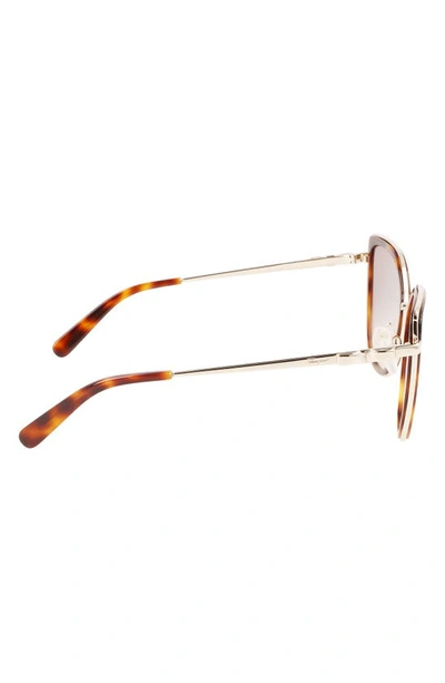 Ferragamo 54mm Gradient Cat Eye Sunglasses In Gold Tortoise