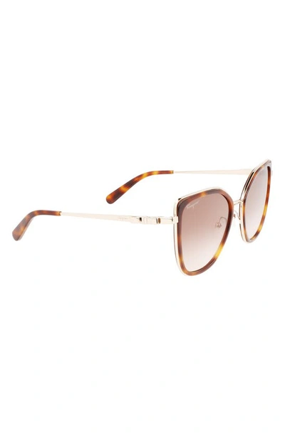 Ferragamo 54mm Gradient Cat Eye Sunglasses In Gold Tortoise