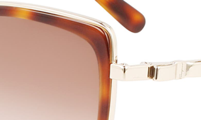 Ferragamo 54mm Gradient Cat Eye Sunglasses In Gold Tortoise