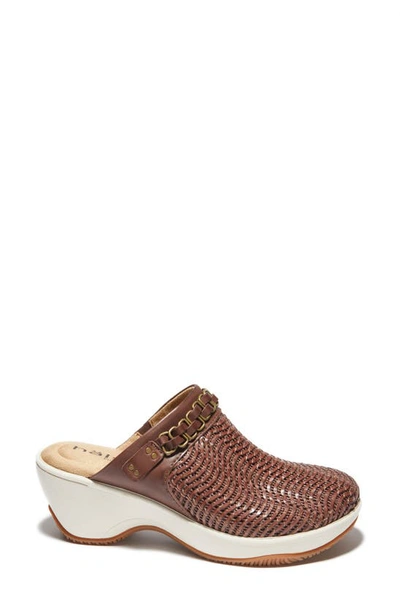 Shop Halsa Footwear Chloe Clog In Dark Brown