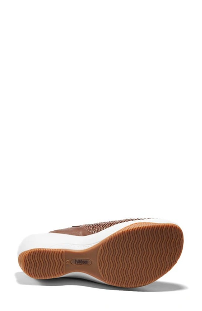 Halsa Footwear Chloe Clog In Dark Brown