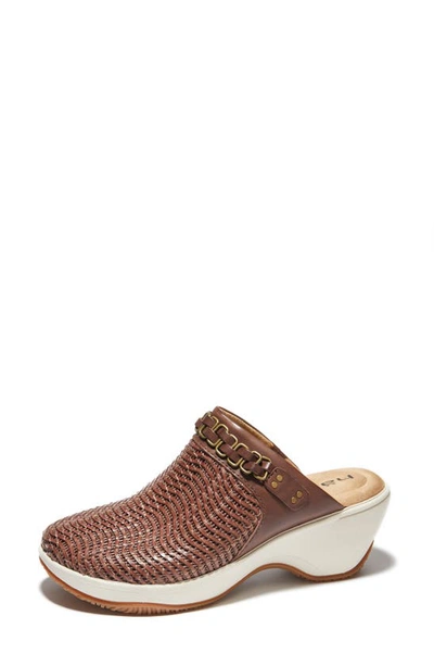 Halsa Footwear Chloe Clog In Dark Brown