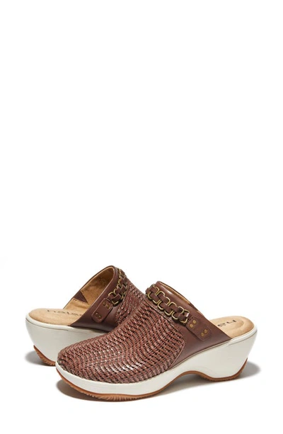 Halsa Footwear Chloe Clog In Dark Brown