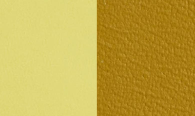 Shop Loewe Anagram Buckle Reversible Leather Belt In Ochre/ Bright Yelllow/ Gold