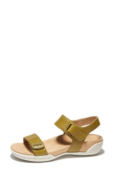 Shop Halsa Footwear Dominica Sandal In Kiwi