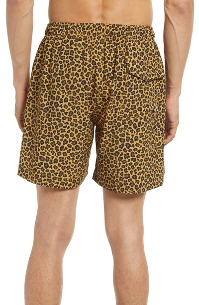 Shop Purple Brand Purple Leopard Print Swim Trunks In B.l. Swim Shorts