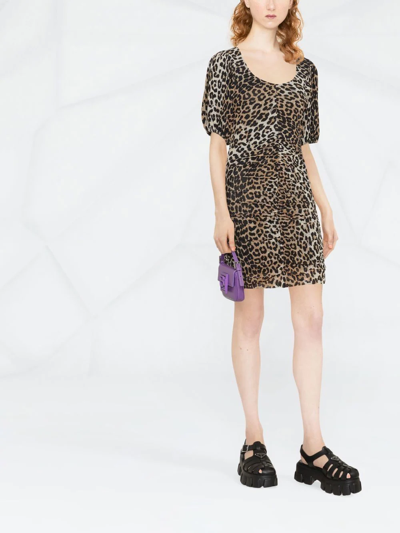 Ganni Bow-detailed Ruched Leopard-print Cotton-poplin Mini Dress In Brown