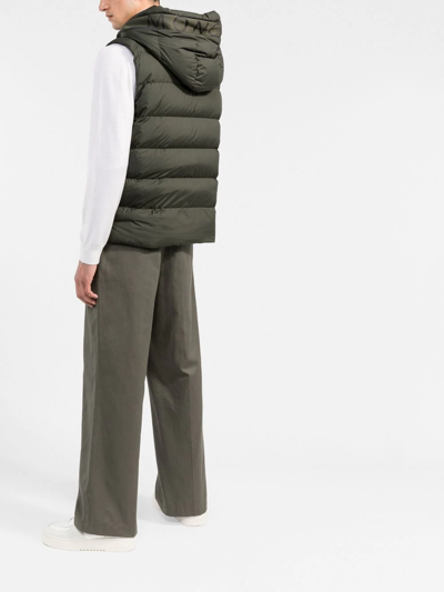 Shop Moncler Cardamine Hooded Gilet In Green