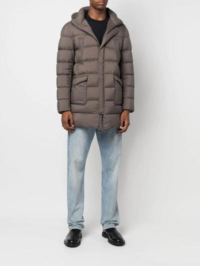 Herno Padded Hooded Down Jacket In Green