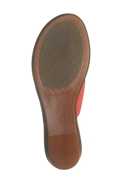 Shop Italian Shoemakers Afia Top Strap Wedge Sandal In Red