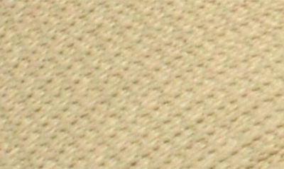 Akademiks Fit Jogger Sneaker In Beige