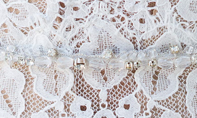 Brides And Hairpins Ruth Crystal Sash In Silver