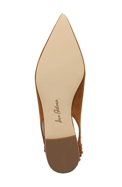Shop Sam Edelman Whitney Pointed Toe Flat In Brown Suede