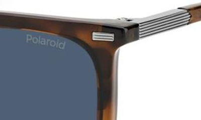 Shop Polaroid 55mm Polarized Rectangular Sunglasses In Havana Brwn / Blue Polarized