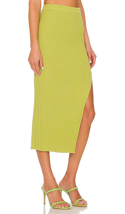Shop Camila Coelho Lyon Skirt In Green