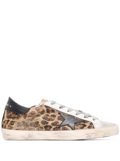 Shop Golden Goose Sneakers Superstar In Multi