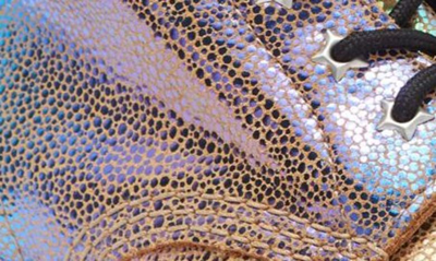 Dr. Martens 1460 Sand Rainbow Ray Multi Leather 8-eye High Heel Boots In Sand