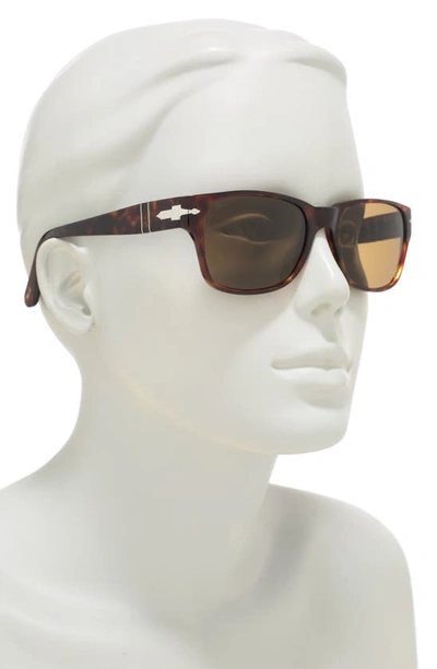 Persol Polarized Rectangular Sunglasses In Pol Brown