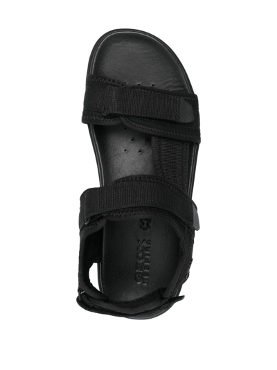 Shop Geox Xand 2s Touch-strap Sandals In Schwarz