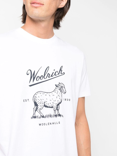 Woolrich Logo-print Cotton T-shirt In White