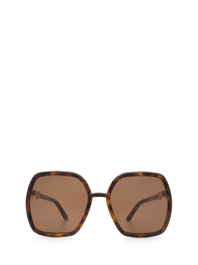 Shop Gucci Gg0890s Havana Sunglasses