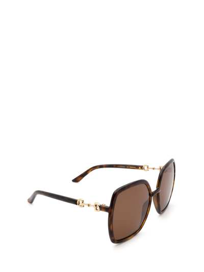 Shop Gucci Gg0890s Havana Sunglasses