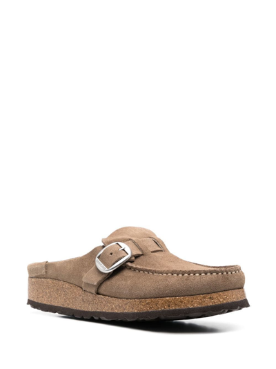 Shop Birkenstock Buckle-fastened Suede Mules In Neutrals