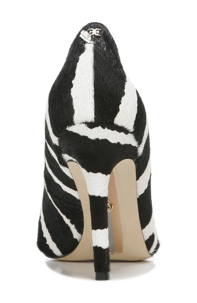 Shop Sam Edelman Hazel Pointed Toe Pump In Zebra Brahma Calf Hair