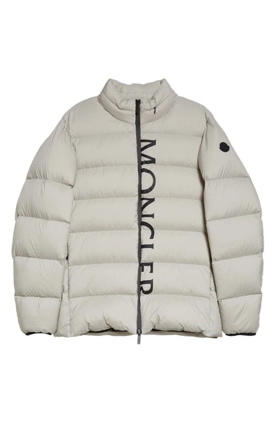Shop Moncler Dieng Down Puffer Jacket In Ice