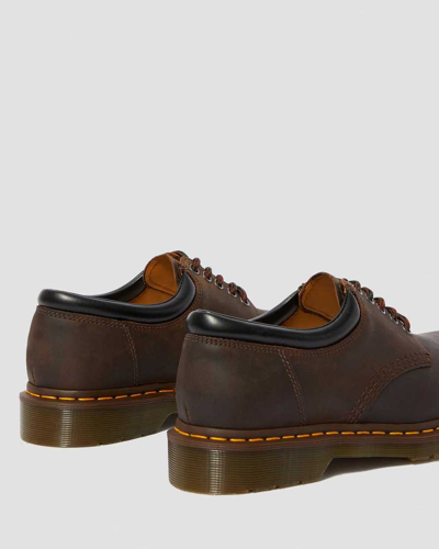 Dr. Martens' Dr. Martens Gender Inclusive Plain Toe Derby In Braun