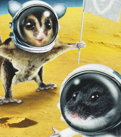 Molo Baby Eloy Printed Cotton-blend Sweatshirt In Kawaii Universe