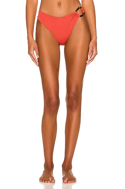 Shop Palm X Magali Pascal Bruna Bikini Bottom In Riad