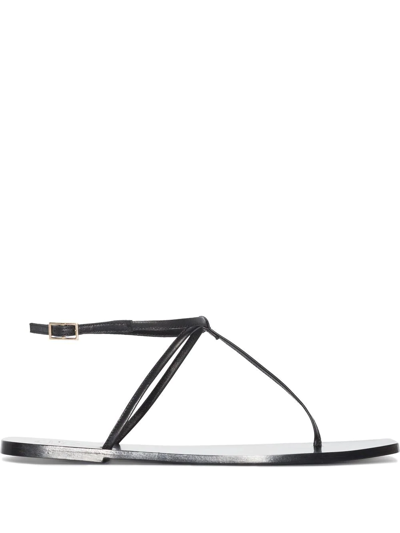 Shop Atp Atelier Alessandria Thong-strap Sandals In Schwarz