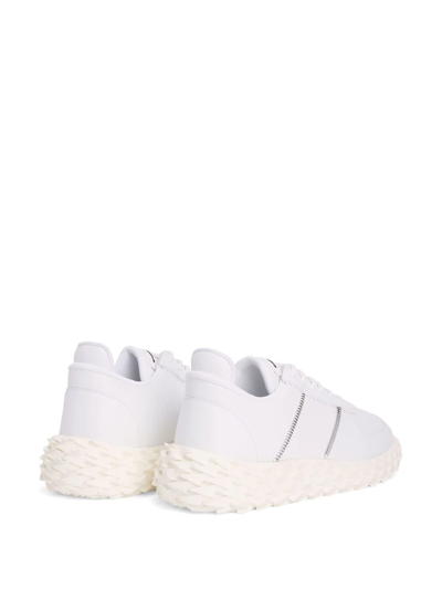 Shop Giuseppe Zanotti Urchin Low-top Sneakers In White
