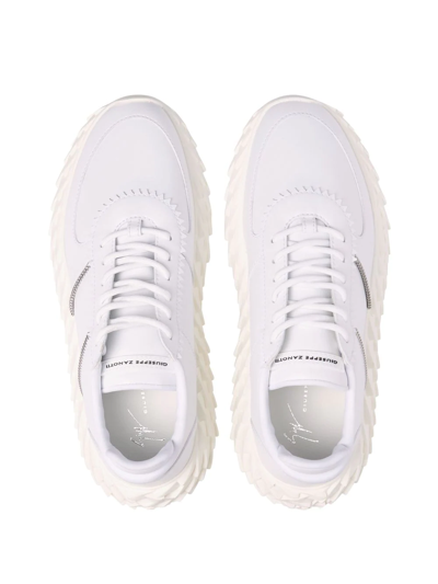 Shop Giuseppe Zanotti Urchin Low-top Sneakers In White