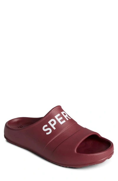 Shop Sperry Top-sider® Sperry Uni Float Slide Sandal In Burgundy