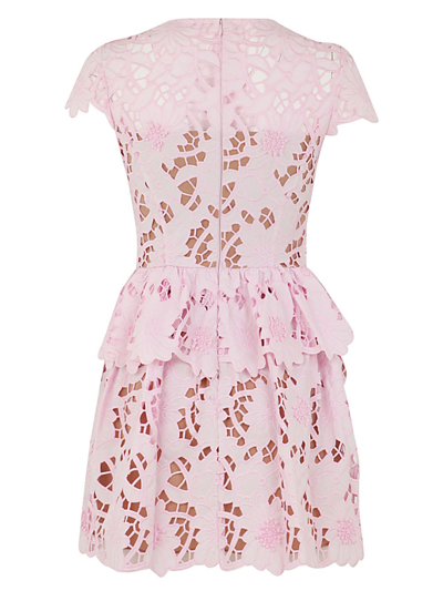 Shop Self-portrait Cotton Guipure Mini Dress In Light Pink